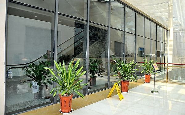 Decorative Glass