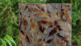 Brief introduction of Laminated glass